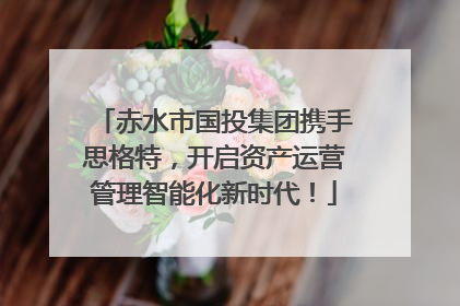 赤水市国投集团携手思格特，开启资产运营管理智能化新时代！