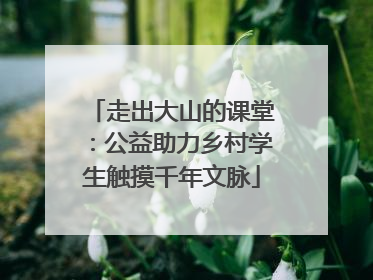 走出大山的课堂：公益助力乡村学生触摸千年文脉