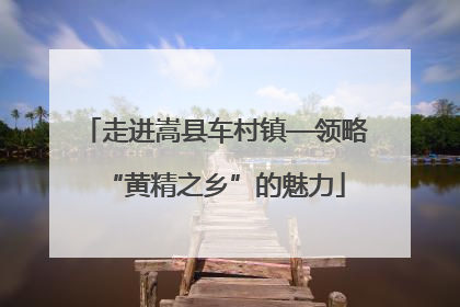 走进嵩县车村镇—领略“黄精之乡”的魅力