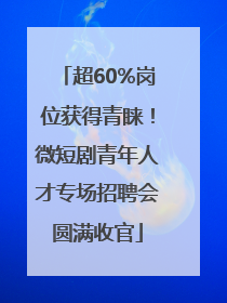 超60%岗位获得青睐！微短剧青年人才专场招聘会圆满收官