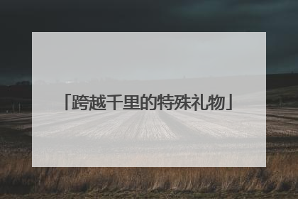 跨越千里的特殊礼物