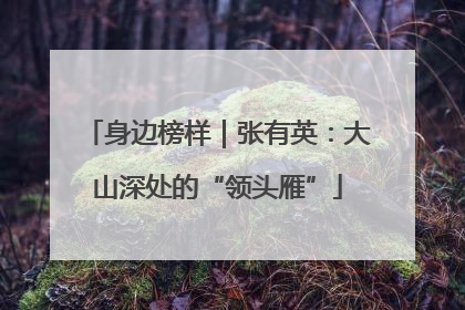 身边榜样｜张有英：大山深处的“领头雁”