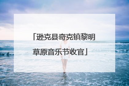 逊克县奇克镇黎明草原音乐节收官