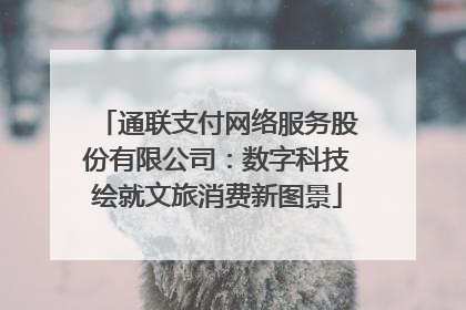 通联支付网络服务股份有限公司：数字科技绘就文旅消费新图景