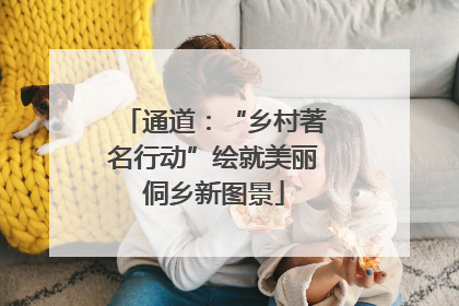 通道：“乡村著名行动”绘就美丽侗乡新图景