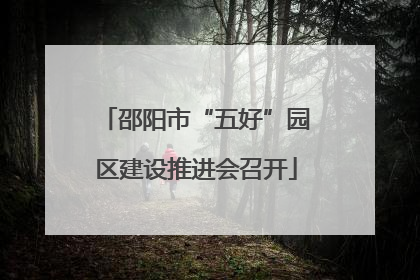 邵阳市“五好”园区建设推进会召开