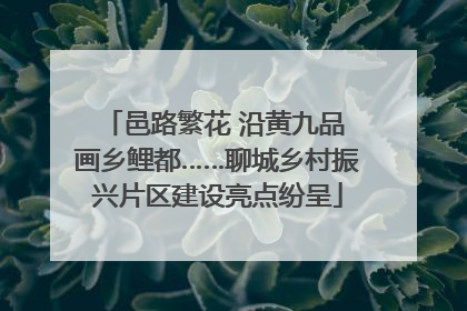 邑路繁花 沿黄九品 画乡鲤都……聊城乡村振兴片区建设亮点纷呈