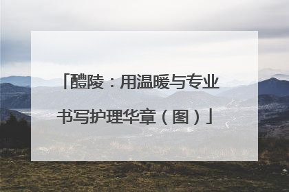 醴陵：用温暖与专业 书写护理华章（图）
