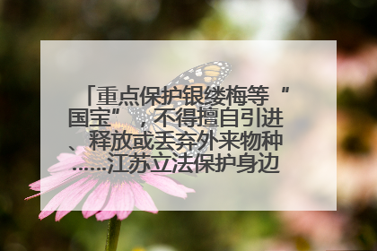 重点保护银缕梅等“国宝”，不得擅自引进、释放或丢弃外来物种……江苏立法保护身边的生物“朋友圈”