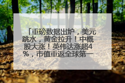 重磅数据出炉，美元跳水，黄金拉升！中概股大涨！英伟达涨超4%，市值重返全球第一！黄仁勋计划出售至多600万股股票
