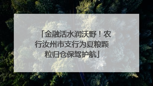 金融活水润沃野！农行汝州市支行为夏粮颗粒归仓保驾护航