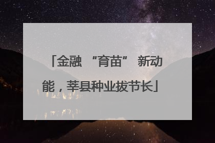 金融 “育苗” 新动能，莘县种业拔节长