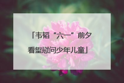 韦韬“六一”前夕看望慰问少年儿童