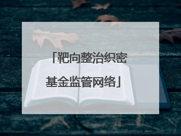 靶向整治织密基金监管网络