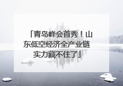 青岛峰会首秀！山东低空经济全产业链实力藏不住了