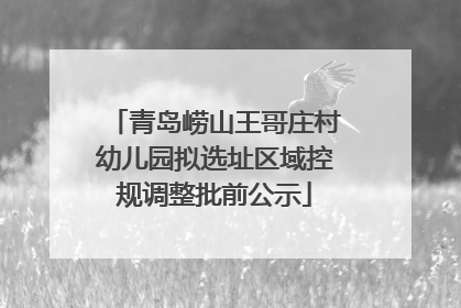 青岛崂山王哥庄村幼儿园拟选址区域控规调整批前公示