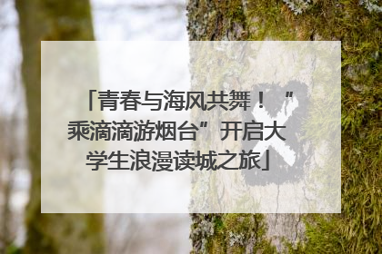 青春与海风共舞！“乘滴滴游烟台”开启大学生浪漫读城之旅