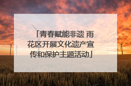 青春赋能非遗 雨花区开展文化遗产宣传和保护主题活动