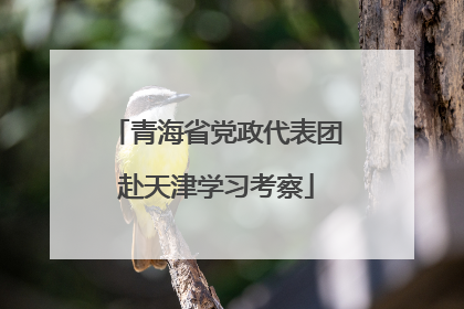 青海省党政代表团赴天津学习考察