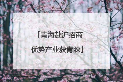 青海赴沪招商 优势产业获青睐