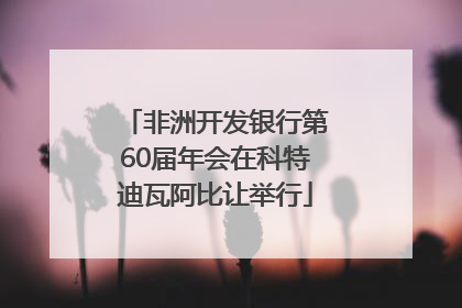 非洲开发银行第60届年会在科特迪瓦阿比让举行