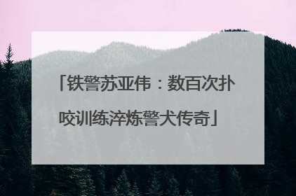 铁警苏亚伟：数百次扑咬训练淬炼警犬传奇