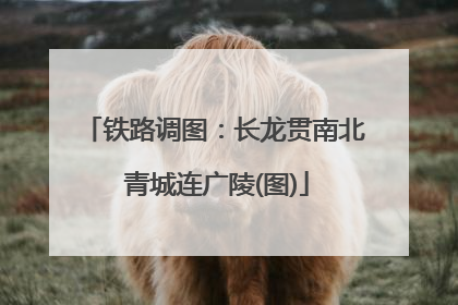 铁路调图：长龙贯南北 青城连广陵(图)