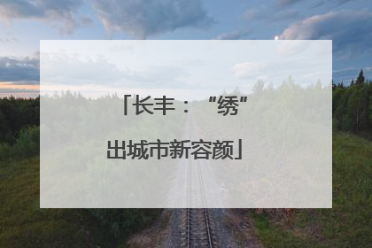 长丰：“绣”出城市新容颜