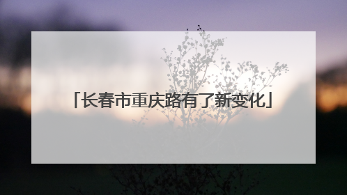 长春市重庆路有了新变化