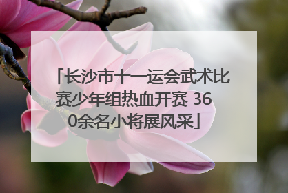 长沙市十一运会武术比赛少年组热血开赛 360余名小将展风采