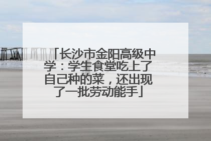 长沙市金阳高级中学：学生食堂吃上了自己种的菜，还出现了一批劳动能手