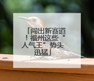 闯出新赛道！福州这些“人气王”势头迅猛
