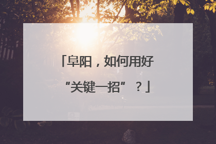 阜阳，如何用好“关键一招”？
