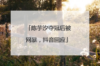 陈芋汐夺冠后被网暴，抖音回应