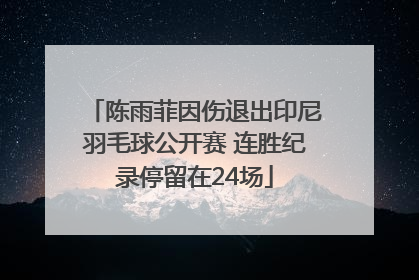 陈雨菲因伤退出印尼羽毛球公开赛 连胜纪录停留在24场