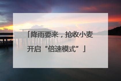 降雨要来，抢收小麦开启“倍速模式”