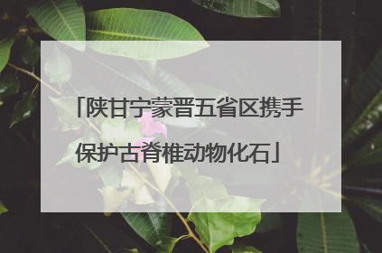 陕甘宁蒙晋五省区携手保护古脊椎动物化石