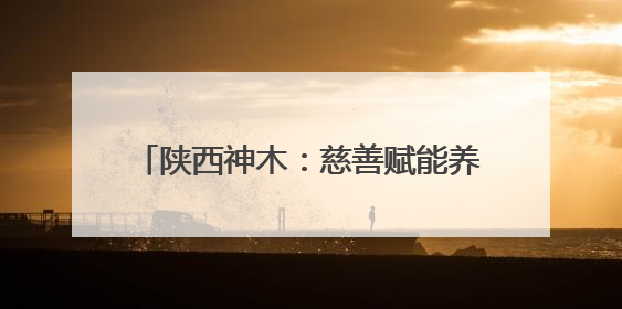 陕西神木：慈善赋能养老 绘就村社幸福图景