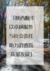 陕西顺丰以卓越服务与社会责任助力消费高质量发展