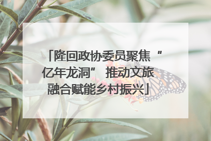 隆回政协委员聚焦“亿年龙洞” 推动文旅融合赋能乡村振兴