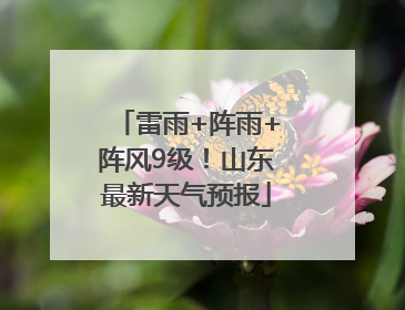 雷雨+阵雨+阵风9级！山东最新天气预报