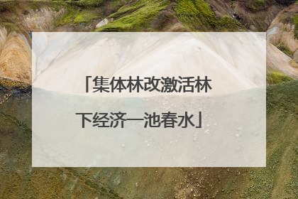 集体林改激活林下经济一池春水