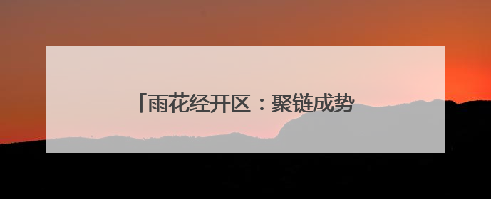 雨花经开区：聚链成势，共绘健康产业新图景