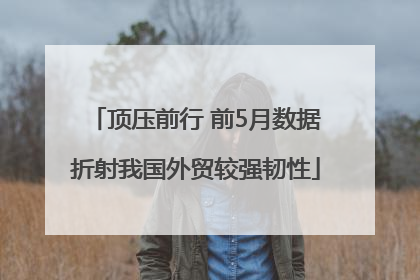 顶压前行 前5月数据折射我国外贸较强韧性