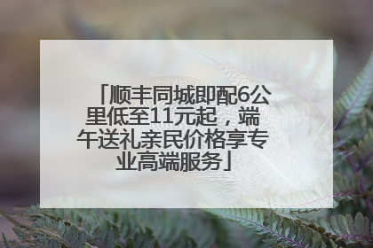 顺丰同城即配6公里低至11元起，端午送礼亲民价格享专业高端服务