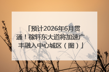 预计2026年6月贯通！稼轩东大道将加速广丰融入中心城区（图）