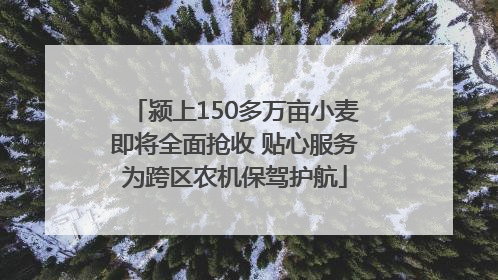 颍上150多万亩小麦即将全面抢收 贴心服务为跨区农机保驾护航