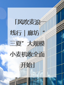 风吹麦浪一线行｜廊坊“三夏”大规模小麦机收全面开始