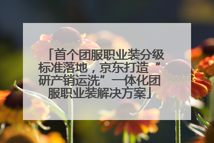首个团服职业装分级标准落地，京东打造“研产销运洗”一体化团服职业装解决方案