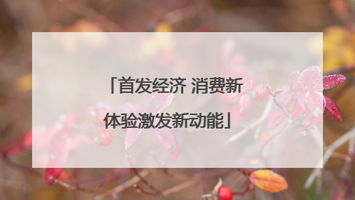 首发经济 消费新体验激发新动能